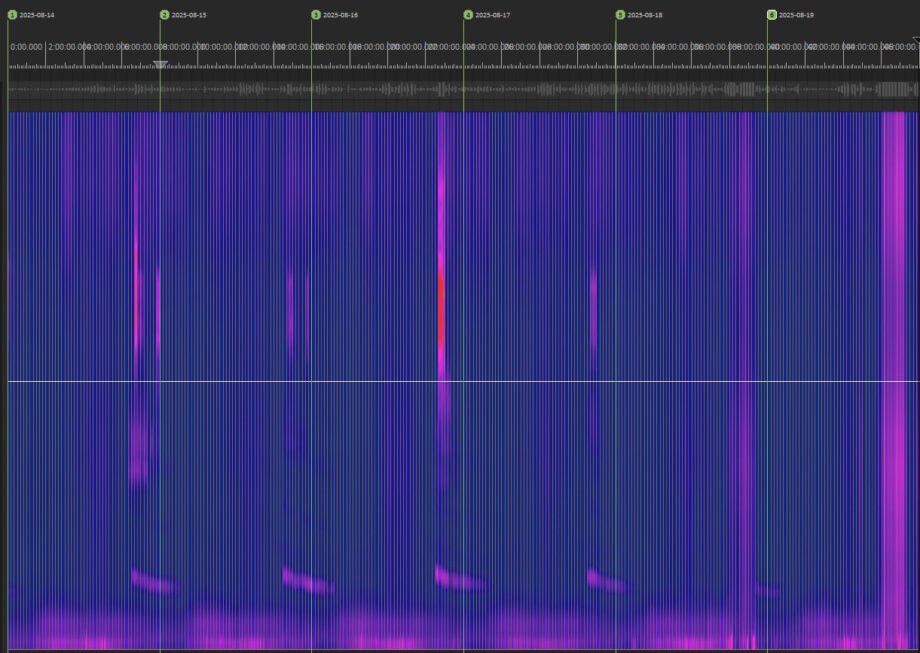 Cycles de l'environnement sonore de la soulane sur 6 jours du 2025-08-14 au 2025-08-19